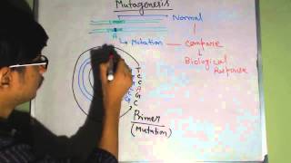 Site directed mutagenesis [upl. by Irena]