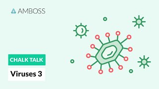 Viruses  Part 3 Viral Replication Process [upl. by Namlaz]