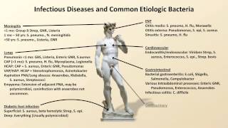 Bacterial Etiologies of Common Infections Antibiotics  Lecture 2 [upl. by Gretna650]