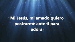 Mi Jesús mi amado  Jesús Adrian Romero  Letra [upl. by Volotta340]