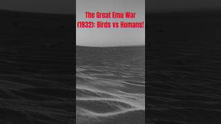 Great Emu War [upl. by Leontyne]