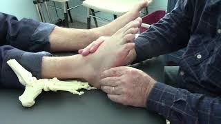 Physical Therapy How to Treat Outside Foot Pain in Cuboid Joint [upl. by Blumenfeld485]