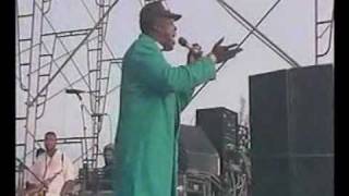 Barrington levy  Too experienced [upl. by Asilana1]