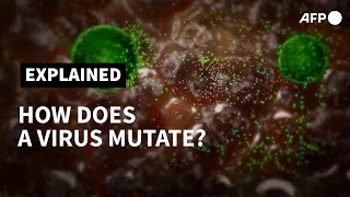 How does a virus mutate  AFP [upl. by Orutra]