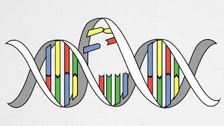 How UV Causes Cancer and Aging [upl. by Crystal]