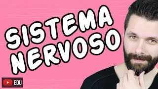 SISTEMA NERVOSO  FISIOLOGIA  Aula  Biologia com Samuel Cunha [upl. by Lessirg699]