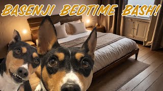 Basenji Bedtime Bash [upl. by Aziza]