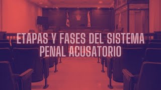 ETAPAS Y FASES DEL SISTEMA PENAL ACUSATORIO [upl. by Ettevad]