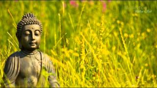 Zen Entspannungsmusik Wellness amp Regeneration Yoga Musik Tiefenentspannung amp Meditation [upl. by Peisch247]