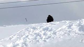 Raven Sliding Down Roof of West Yellowstone Public Library [upl. by Arag]