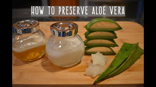 How To Preserve Aloe Vera  Aloe Vera Gel Storage [upl. by Kowatch]