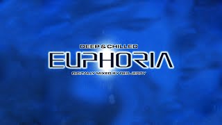 Red Jerry Deep amp Chilled Euphoria CD1 [upl. by Zildjian]