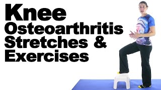 Knee Osteoarthritis OA Stretches amp Exercises  Ask Doctor Jo [upl. by Aarika]