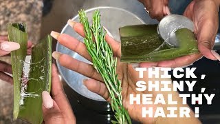 DIY Rosemary  Aloe Vera Juice HAIR RINSE  LEAVEIN CONDITIONER  Nia Hope [upl. by Novyaj]