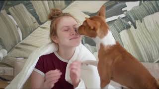 Basenji Things to Know about Before Getting A Basenji Puppy [upl. by Tamanaha]