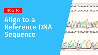 Aligning to a Reference DNA Sequence in SnapGene [upl. by Hagile710]