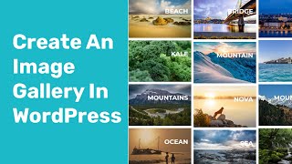 How to Add an Image Gallery in WordPress Using Modula and Elementor Plugin [upl. by Otrebire]