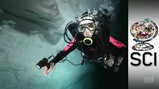 CaveDiving In Australia’s Arid Nullarbor Outback [upl. by Carmencita409]