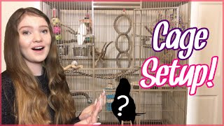 How to Set Up Your Parrot’s Cage  Bird Cage Setup [upl. by Yesnikcm411]