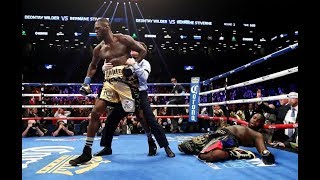 Deontay Wilder All Knockouts 390 [upl. by Sirraf939]