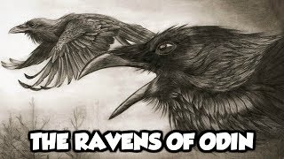 Odins Mythical Ravens  Huginn and Muninn Norse Mythology Explained [upl. by Derian]