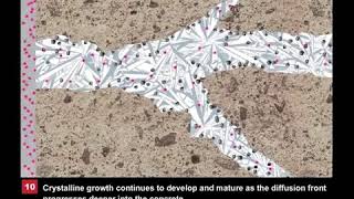 Xypex Concrete Waterproofing by Crystallization Animation [upl. by Edveh]