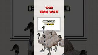 Australia’s War Against the Emus [upl. by Ssenav]