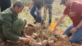 Consejos para plantar árboles en zonas áridas [upl. by Anehsat]