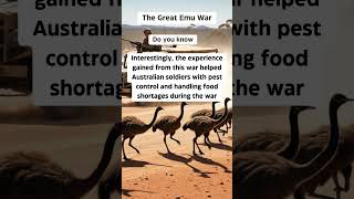 Emu War WW2 Facts [upl. by Einahpts]