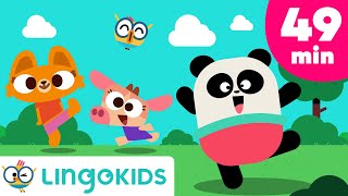 Five Senses Song  More Songs for Kids 🌈 Lingokids [upl. by Leacock54]