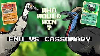 Emu vs Cassowary Who would win in a fight [upl. by Yrreiht]