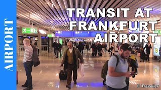 TRANSIT WALK AT FRANKFURT Airport FRA Terminal 1  Connection Flight Transfer Arriving amp Departing [upl. by Collete]