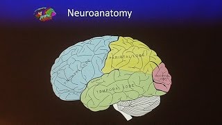 Living With Traumatic Brain Injury [upl. by Noel]